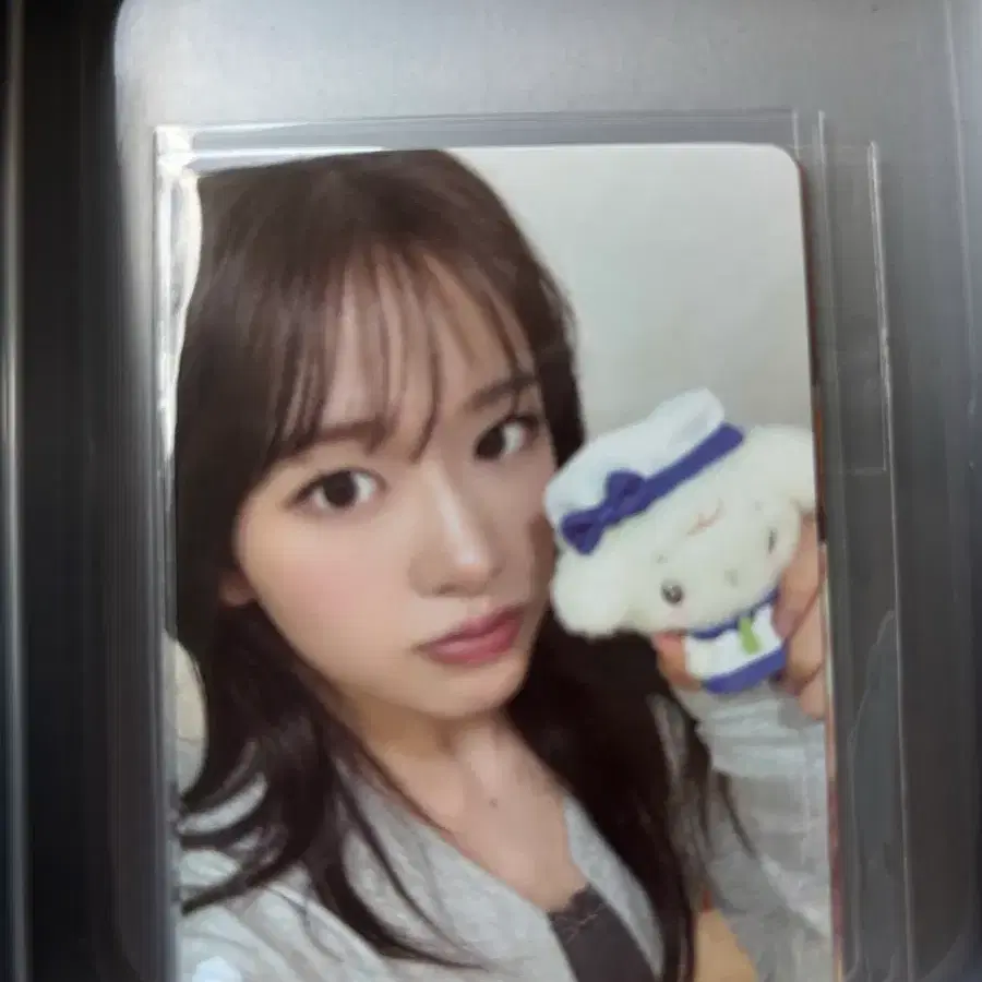 아이브 2026년 팝업 안유진 포카
