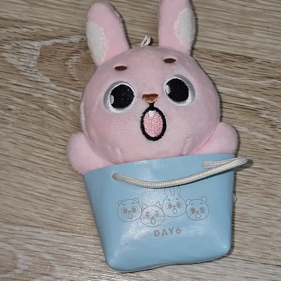 데이식스 원필 일본 엠디 백참 인형 필끼 필