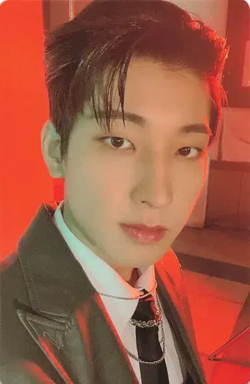 SEVENTEEN Attacca WONWOO 트레이딩 카드 113