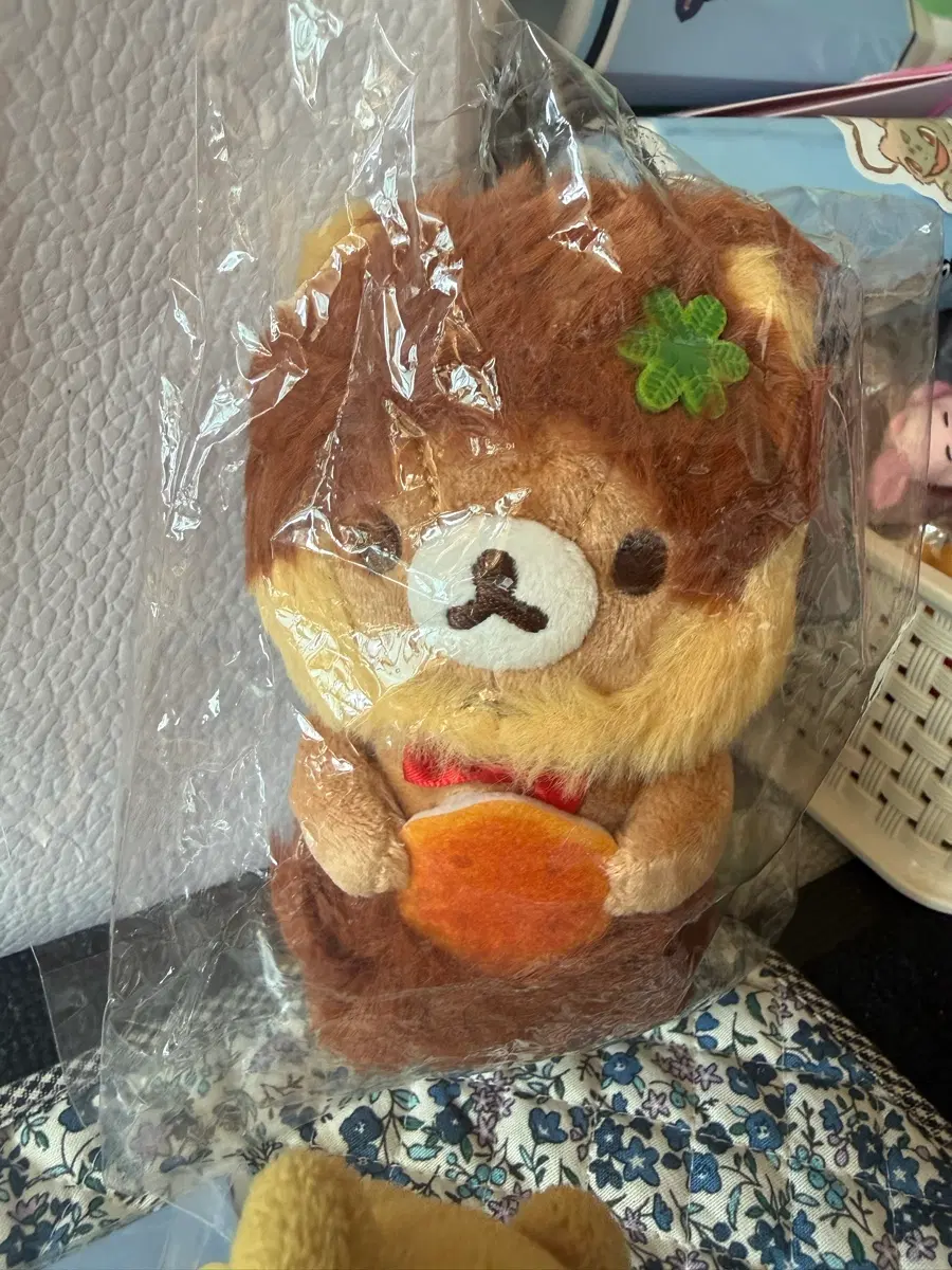 리락쿠마 파이노미 한정인형