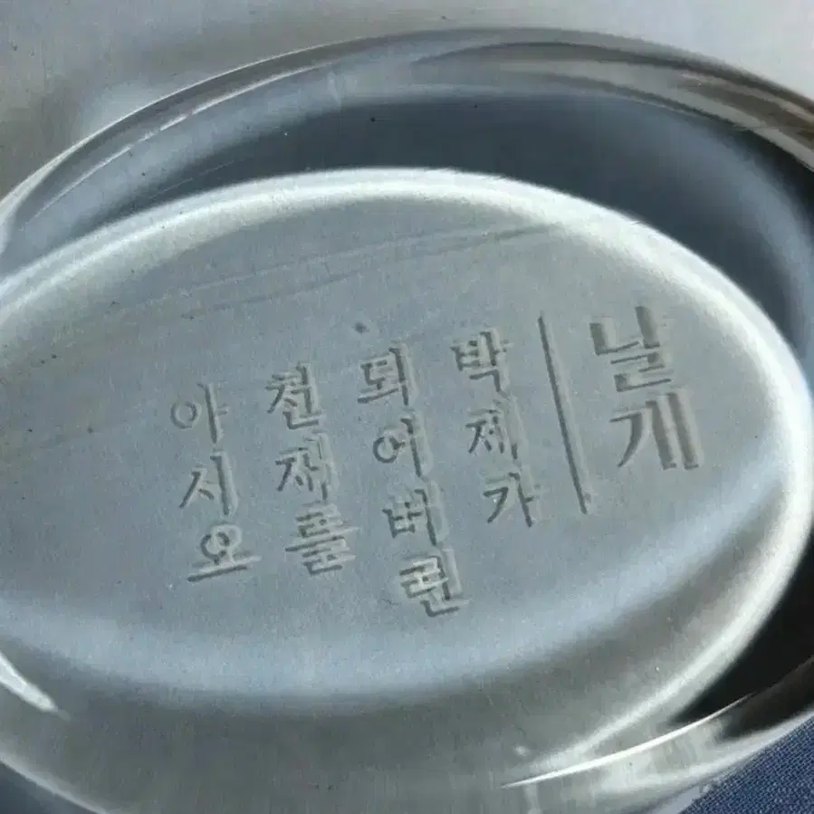 이상 날개 문진 알라딘