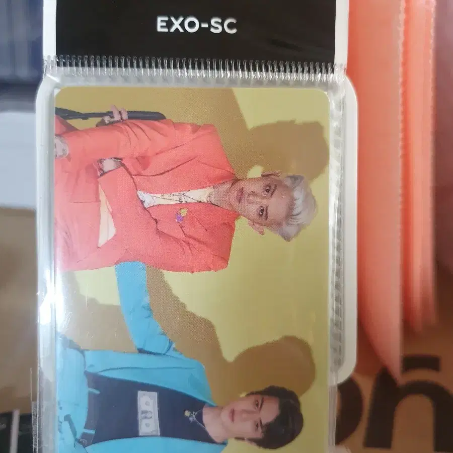엑소 세찬 포카
