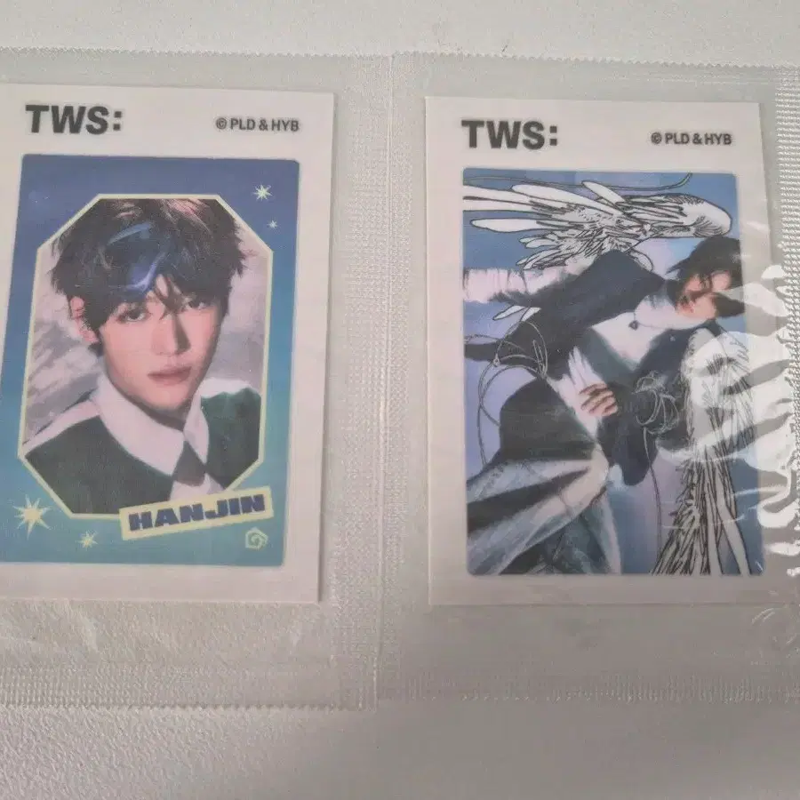 투어스 TWS 띠부실 영재 한진