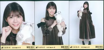 노기자카46 WebShop 한정판 토미사토 리나 2026.March-III 엘레강트 컴프