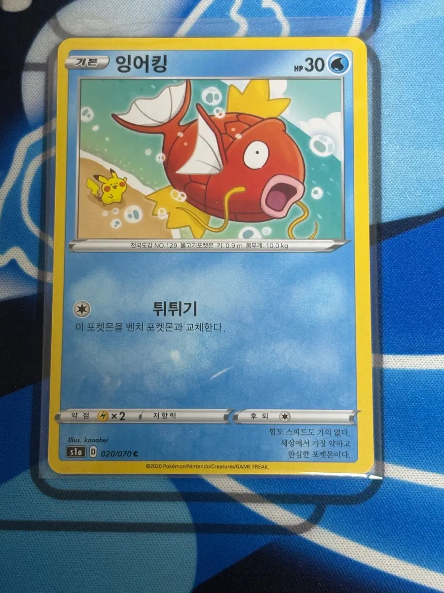 포켓몬 카드 kanahei 잉어킹
