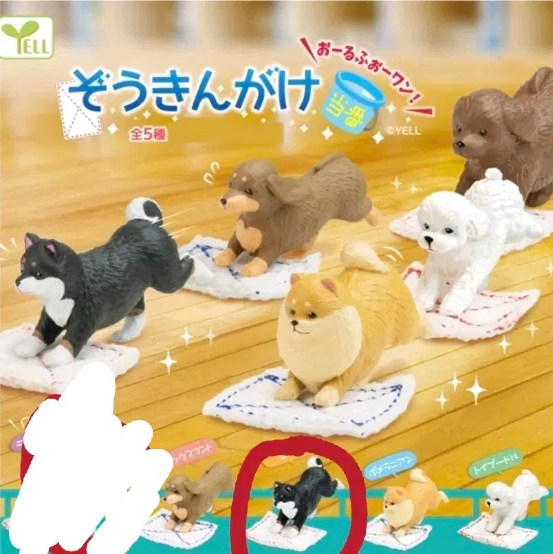 걸레질 강아지 가챠 피규어