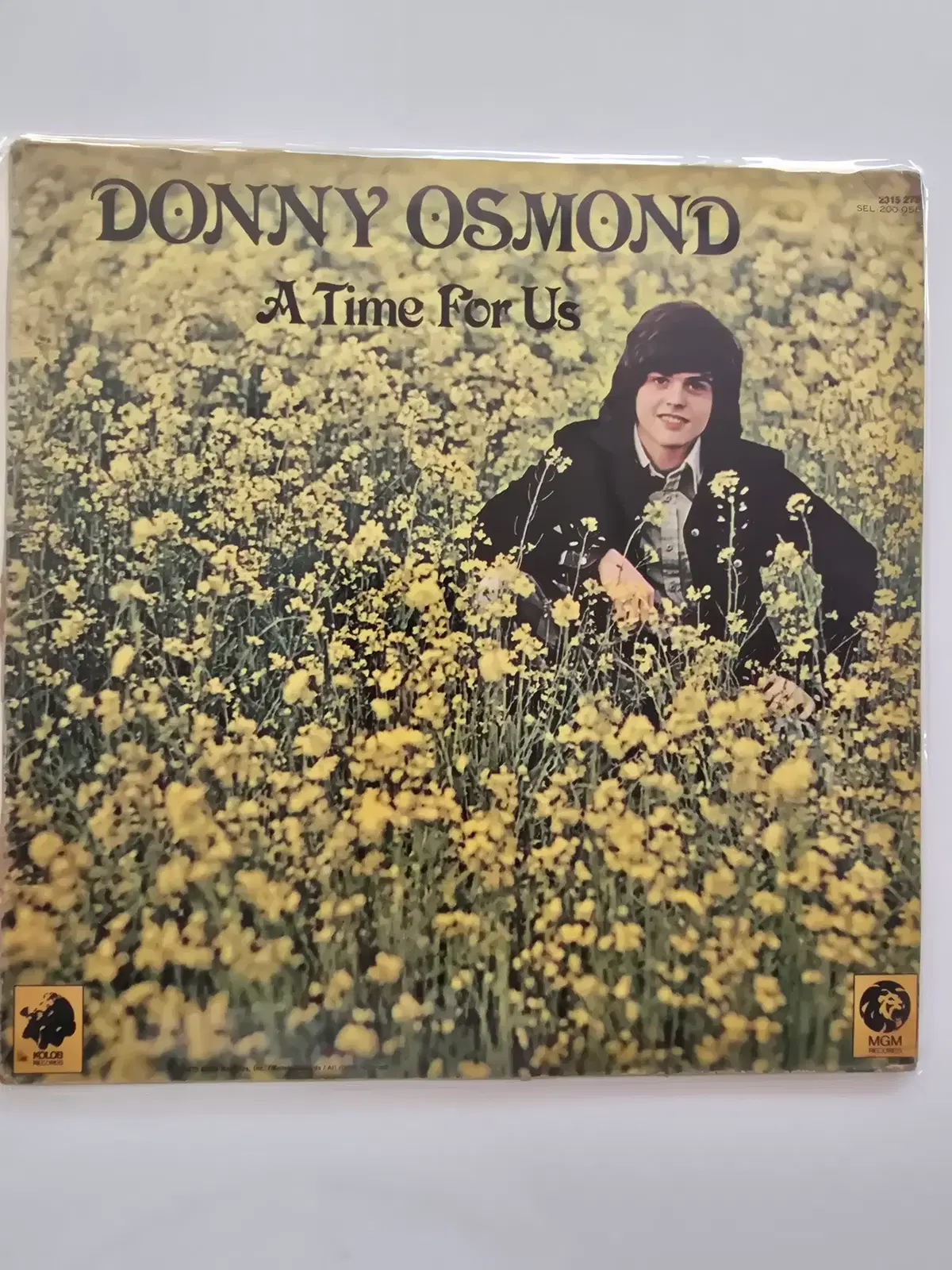 도니 오스몬드 LP / Donny Osmond - A Time For Us/ EX+
