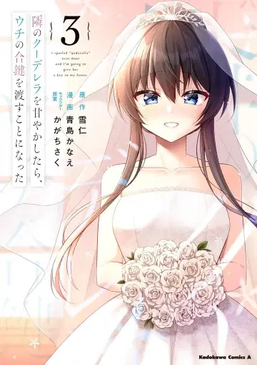 KADOKAWA 카도카와 코믹스 A 아오시마 카나에 옆집 쿨데레라를 길들였더니, 우리 집 합금 열쇠를 건네주게 되었다 3