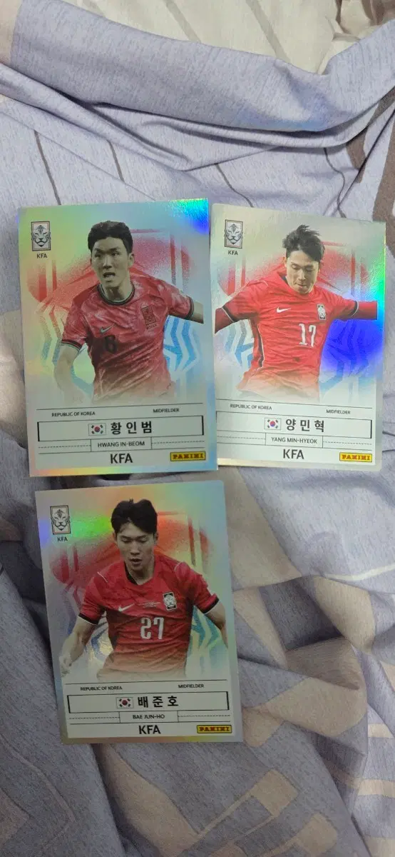 파니니 KFA 축구 카드 황인범 양민혁 배준호