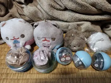 포메라니안 모찌 프라이스 세트