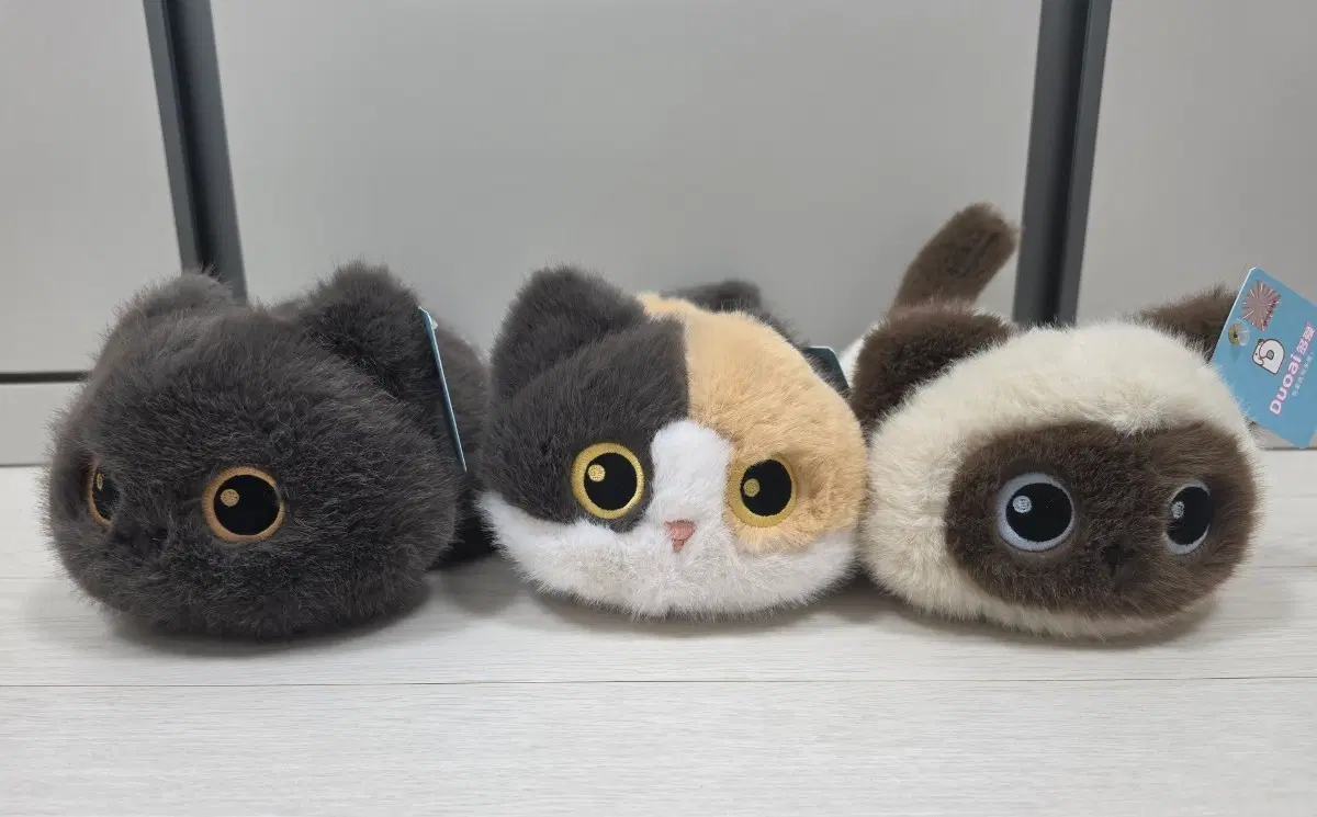 고양이 인형 3종 세트