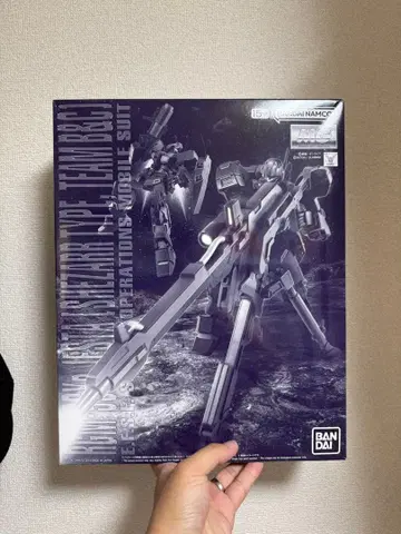 MG 1/100 제스타 (셰자르대 사양 B&C반 장비)
