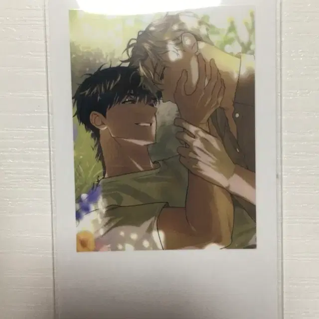녹티아 패션 일레이 태이 일태 폴라로이드