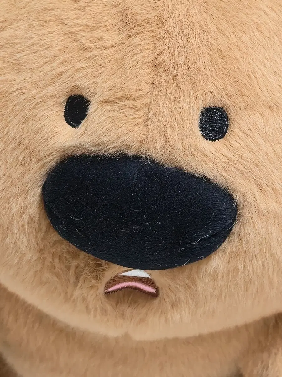 억울한 쿼카 인형 35cm