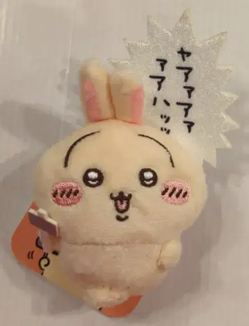 그레이 후드티 서비스 치이카와 (먼작귀) 토끼투성이 복권 토끼투성이 복권 E상 인형 배지 톤카치