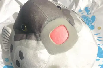 에노스이 봉제 인형 복권 복어 2등