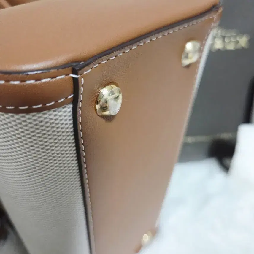 델보 델보(Delvaux)의 아이코닉 라인인 브리앙(Brillant) 캔버스 사진 4