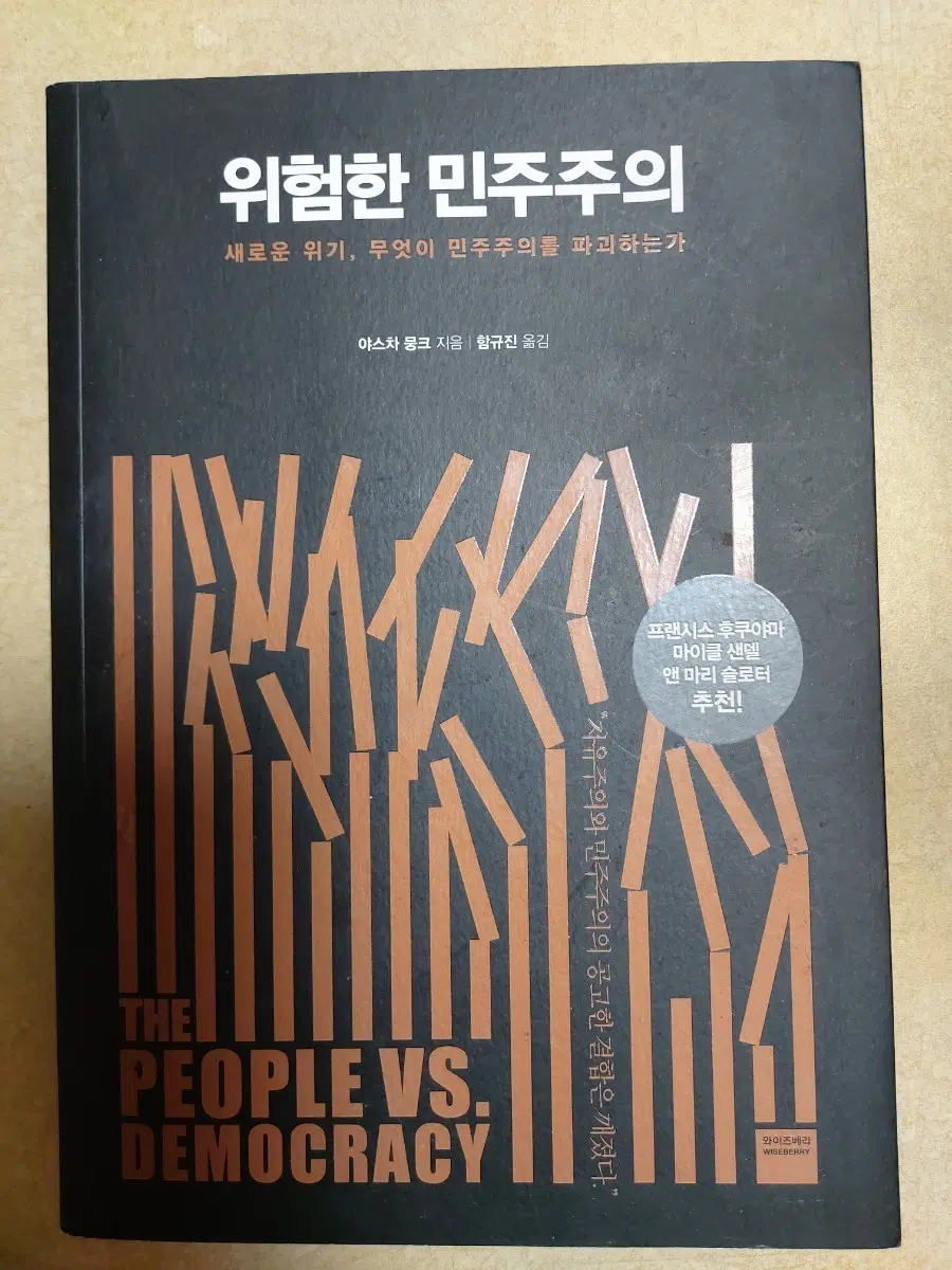 위험한 민주주의 (The People vs. Democracy)