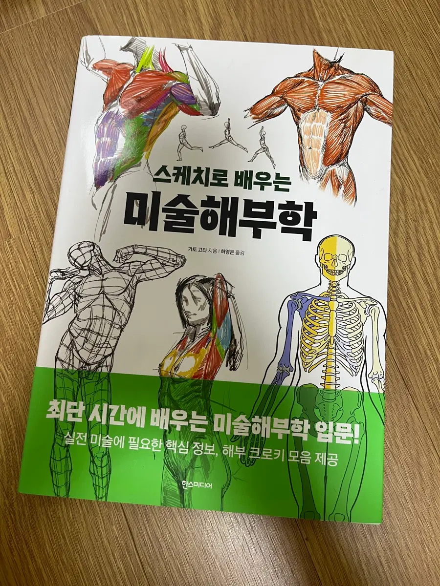 미술 해부학 책 판매합니다