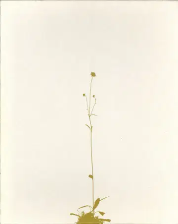 Eric Poitevin 2014-2019 photographs