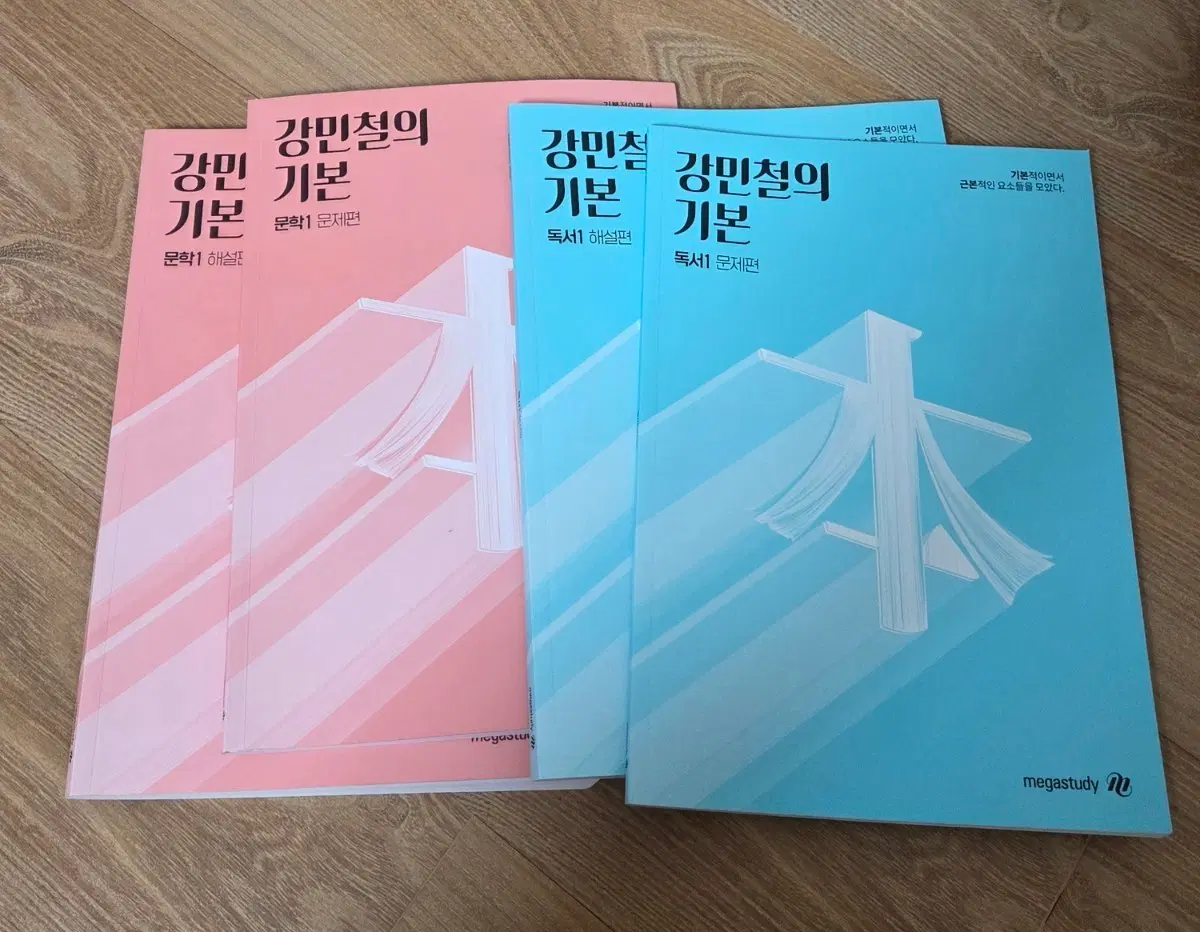 강민철의 기본 문학, 독서