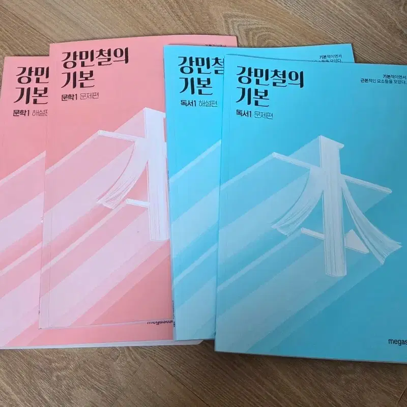 강민철의 기본 문학, 독서