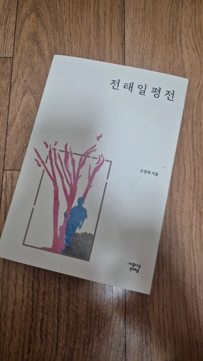 전태일 평전 에세이 도서 책
