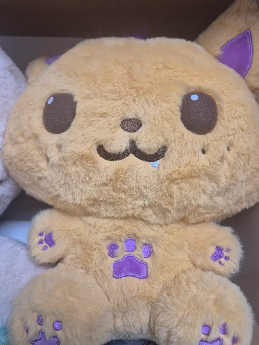 완료