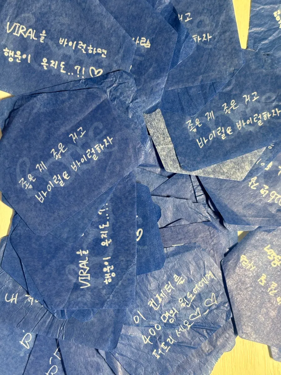 보넥도 낙원콘서트 컨페티 판매