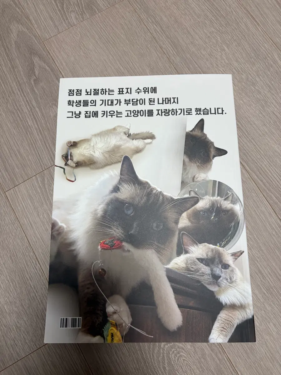 2027 유신 시네 N제