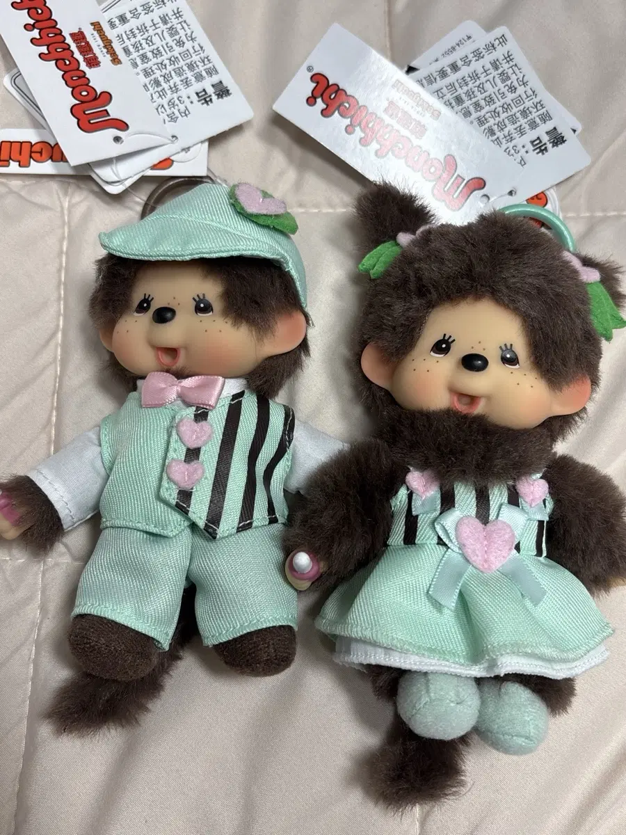 미니소 한정판 민트초코 몬치치