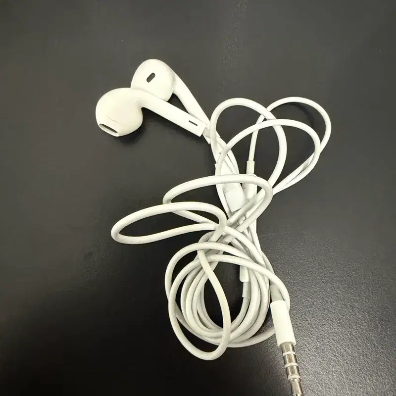 애플 이어폰 3.5mm