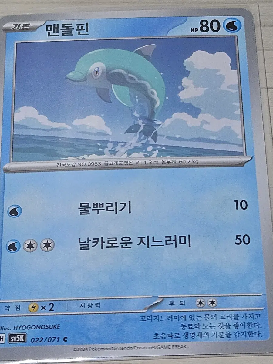[최저가] 포켓몬카드 맨돌핀