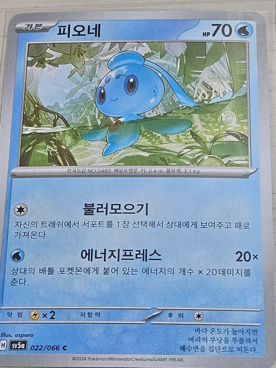 [최저가] 포켓몬 카드 피오네