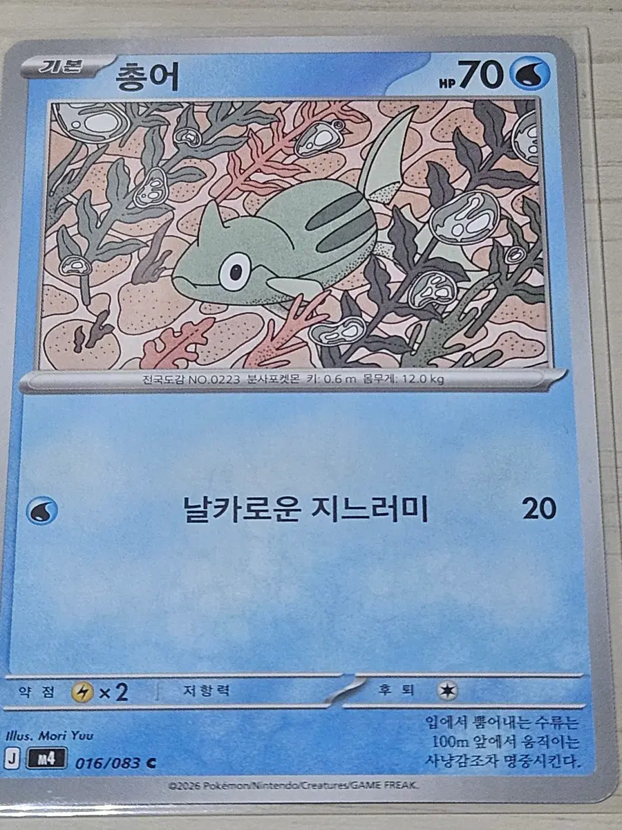 [최저가] 포켓몬카드 총어