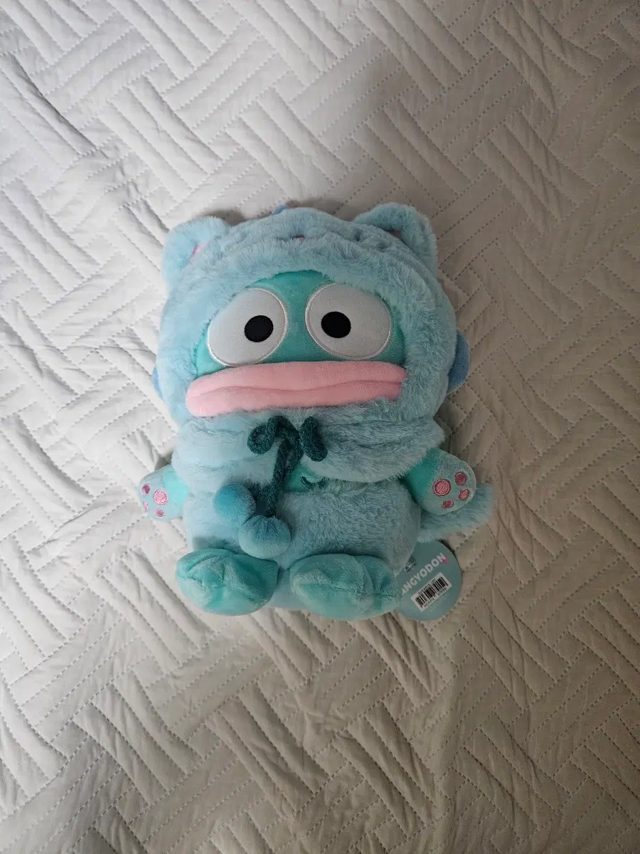 산리오 한교동 고양이 인형