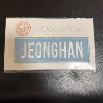 SEVENTEEN Ode to you 정한 와펜 핀 배지