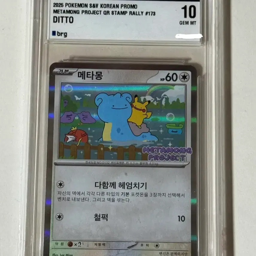 포켓몬 메타몽 프로모 카드 BRG 10