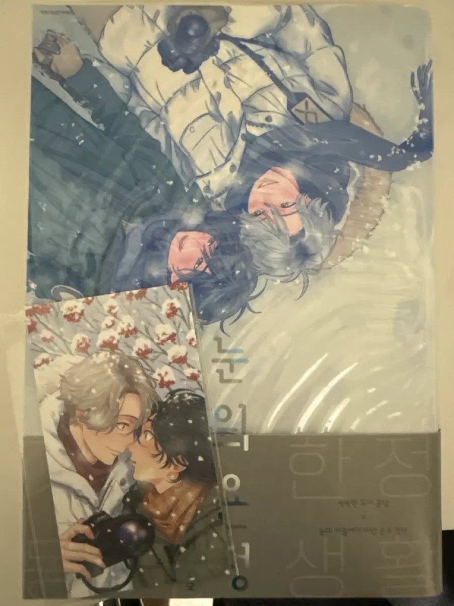 눈의요정