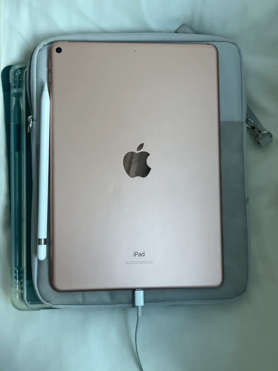 (급처)아이패드 에어3 256gb+애플펜슬+패드보관함+패드케이스