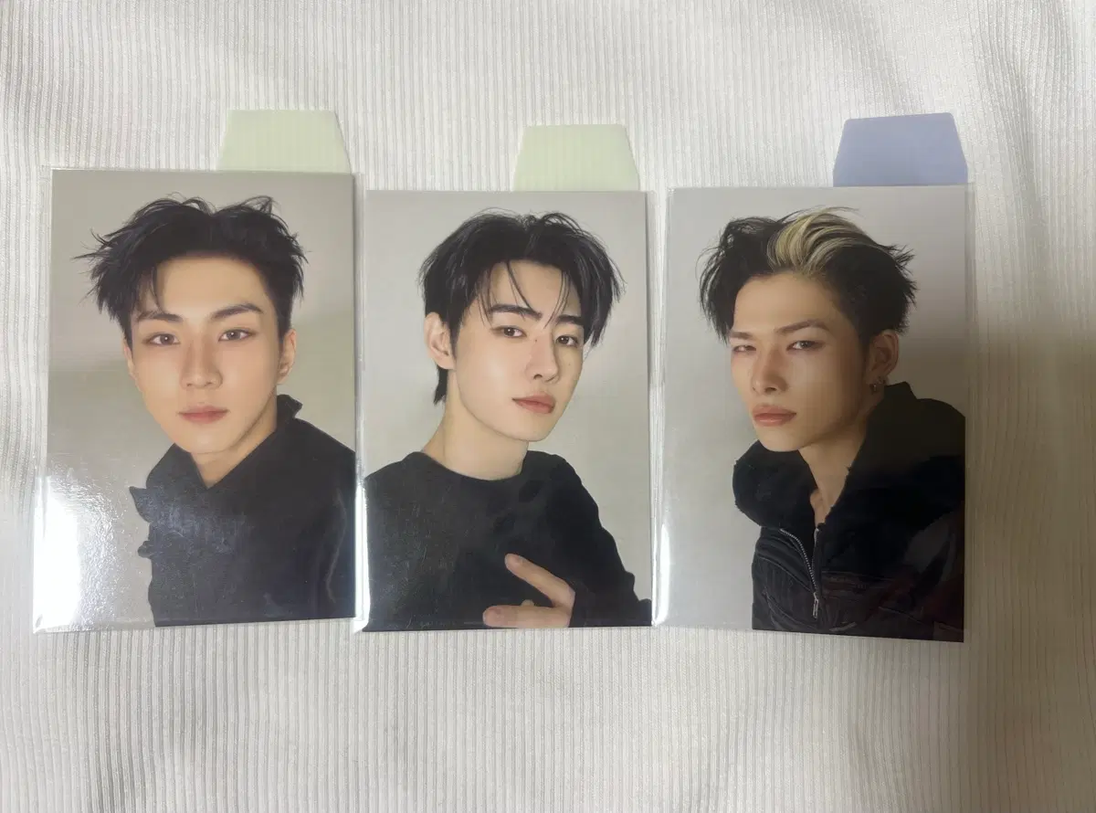 엔하이픈 블러드사가 7만원 포토카드 정원 성훈 니키