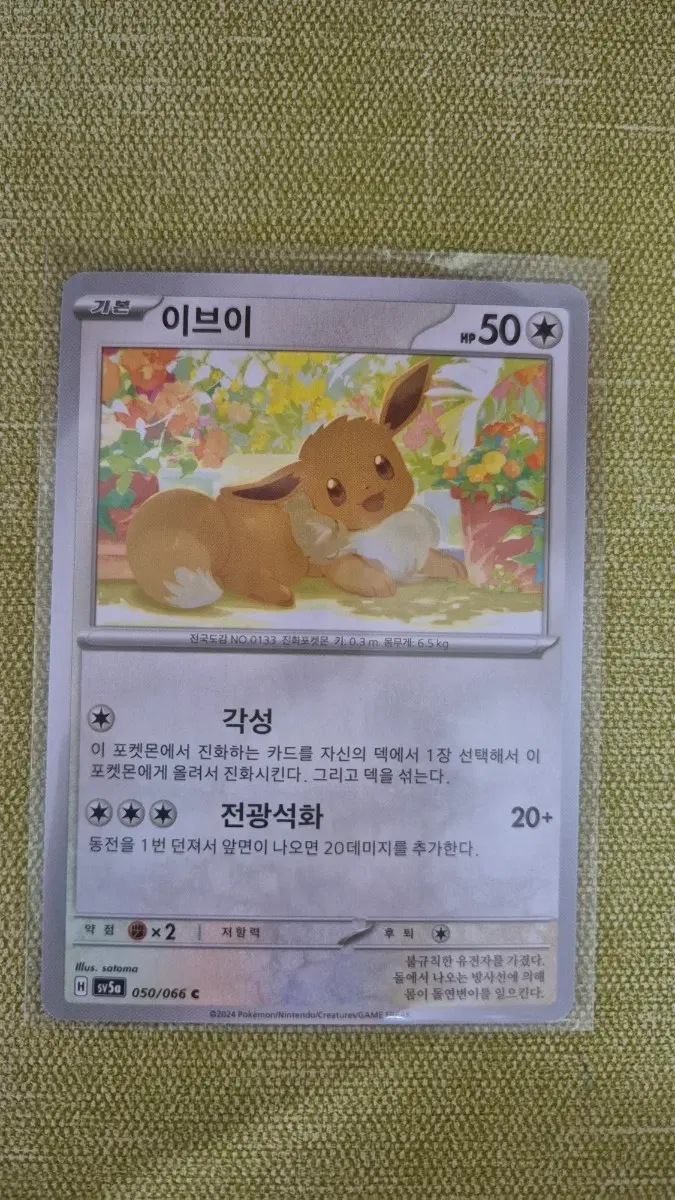 [포켓몬카드 한판] 이브이 050/066
