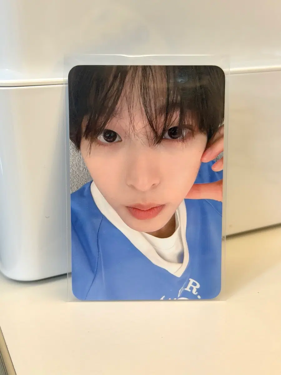 디마뮤 리쿠 포카 위시 쿠리