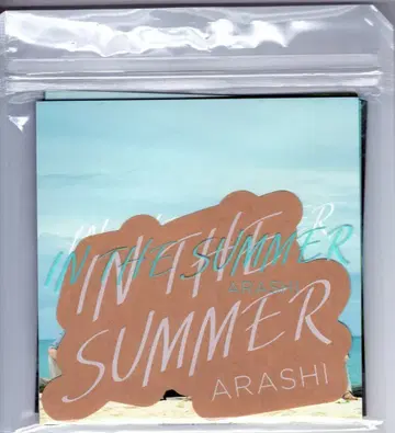 폭풍 IN THE SUMMER 엽서 세트 B