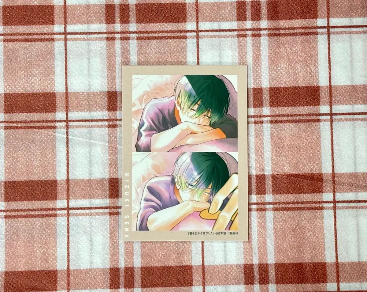 순정만화 너를 잊을 사랑이 하고 싶어 별책 마가렛 부록 포카