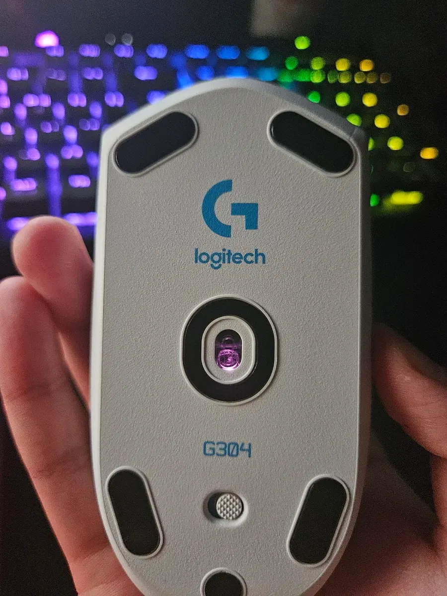 g304