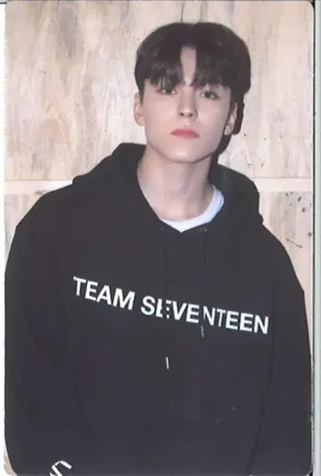 SEVENTEEN 2022 6th FANMEETING CARAT LAND VERNON 트레이딩 카드 0025
