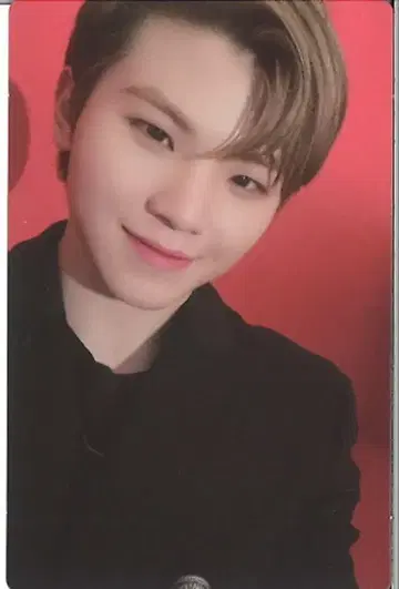 SEVENTEEN POWER OF LOVE WOOZI 트레이딩 카드 0082
