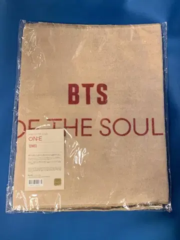BTS 2020 MAP OF THE SOUL ON:E 타월