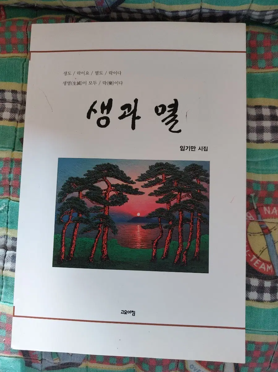 생과 열 책 (임기만 시집)